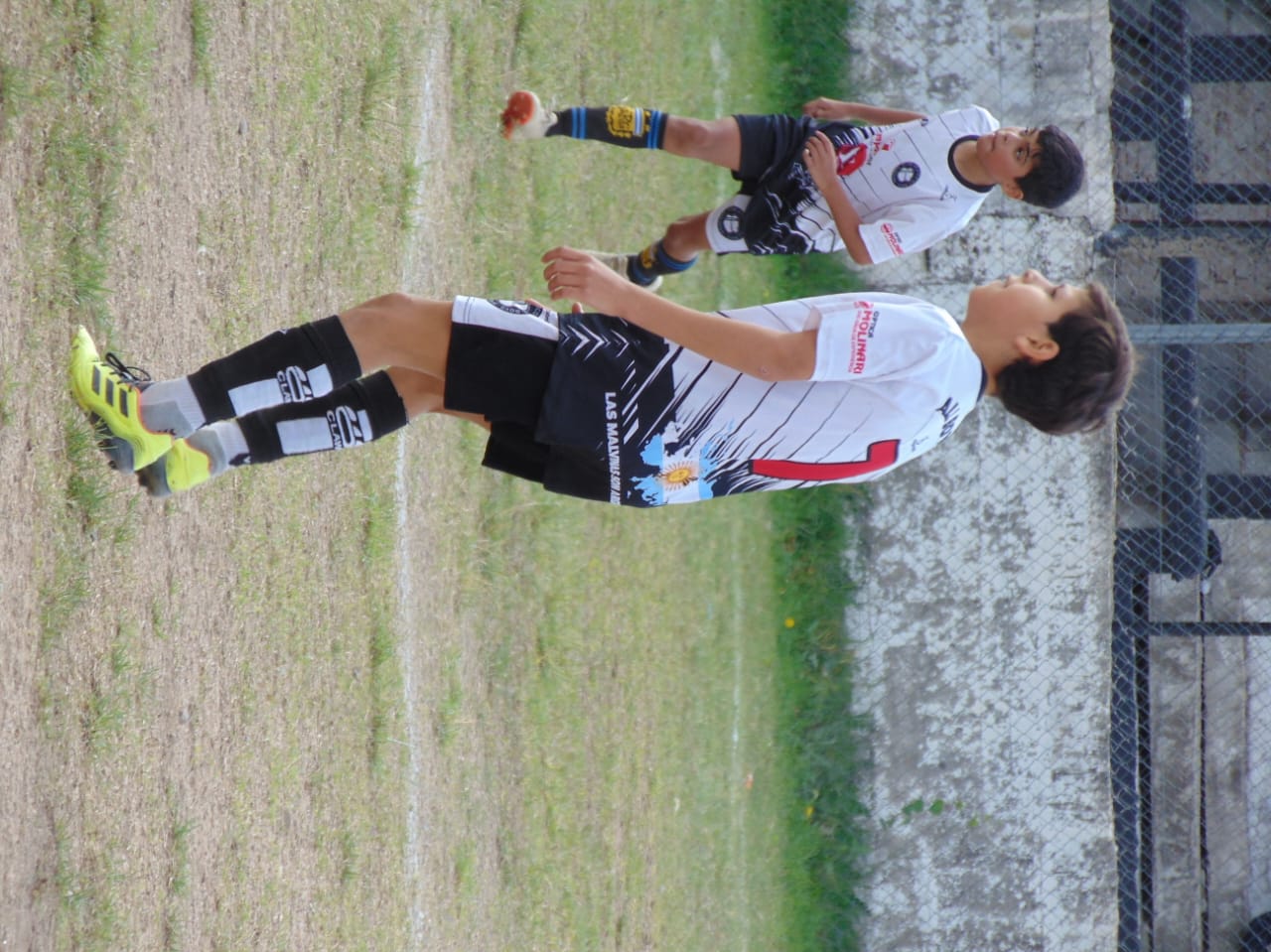 Imagen 2
